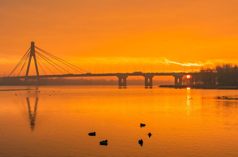 Photograph by Тамара Масло