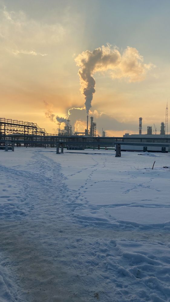 Фотография автора Илиза Майнурова