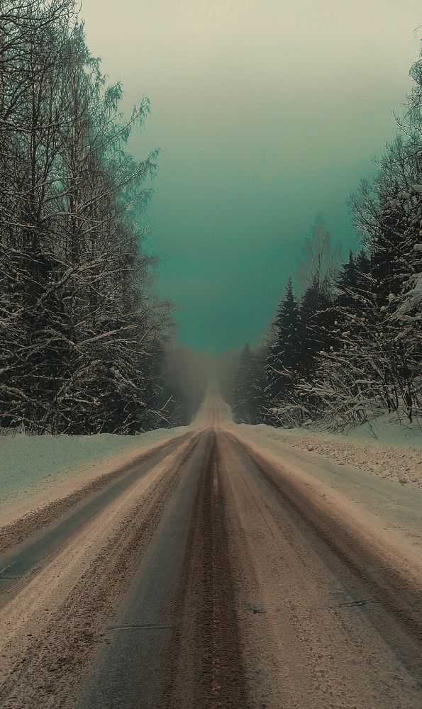 Photograph by Максим Белоус