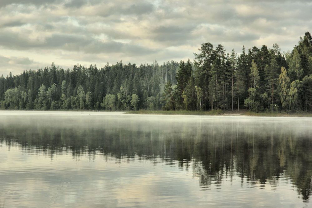 Photograph by Яшин Андрей