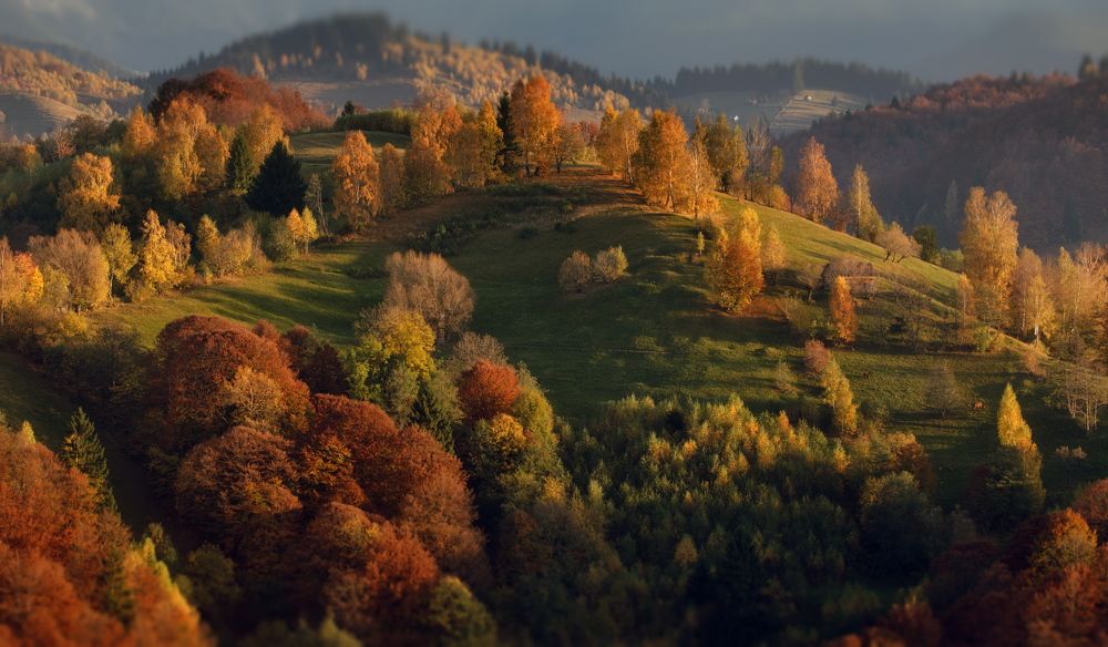 Осенний пригорок