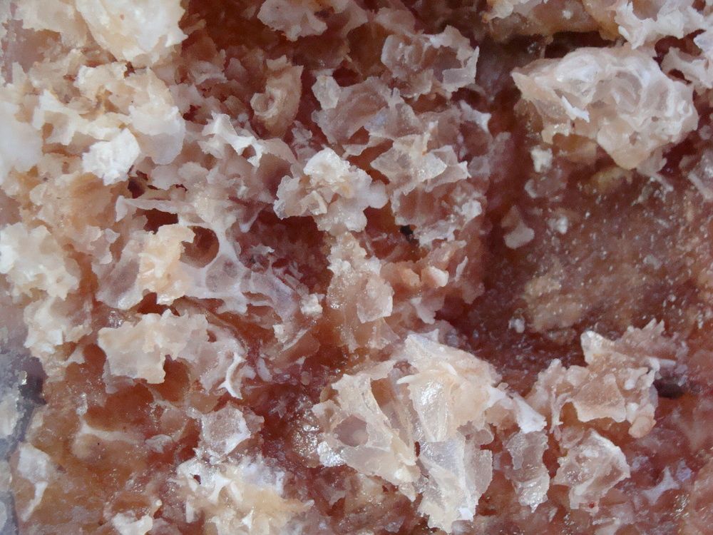 Photograph by Николай Худяков