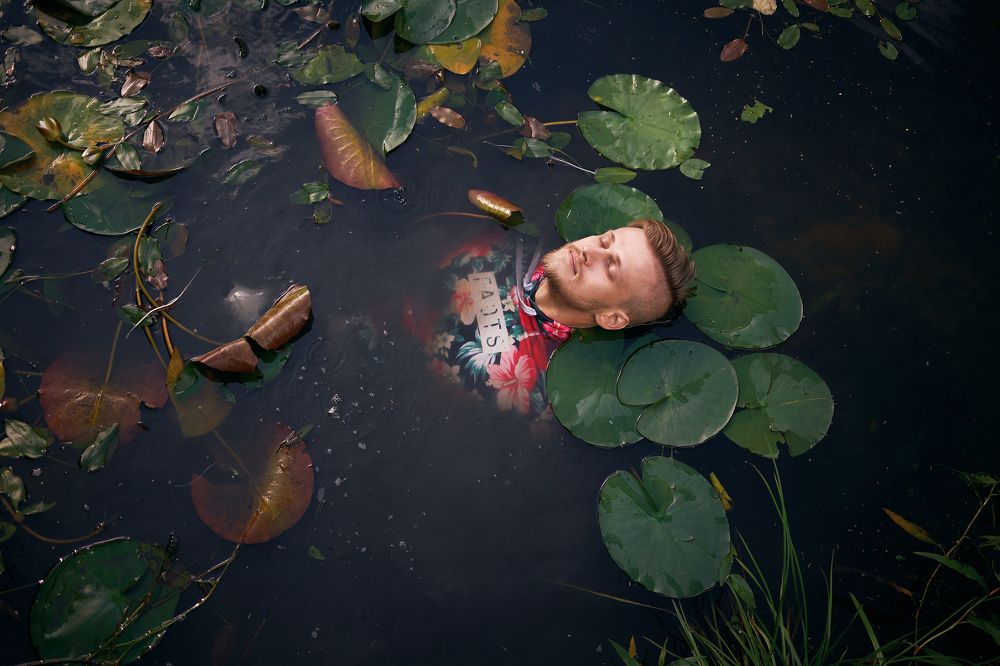 Утром на болоте.