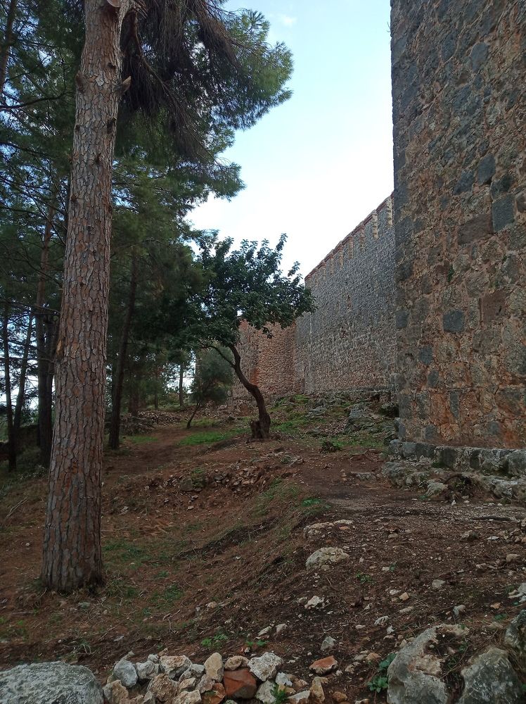 Photograph by елена сидорова