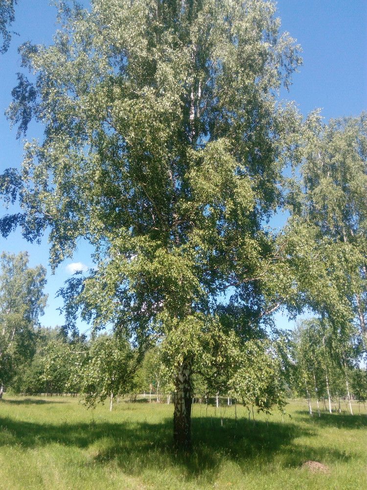 Photo #5740801