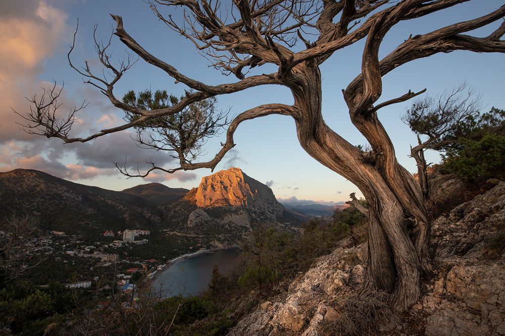 Photograph by Станислав Аристов