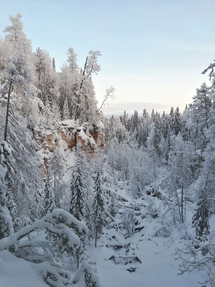 Photograph by Полина Зайцева