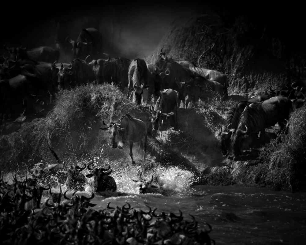 Момент невесомости