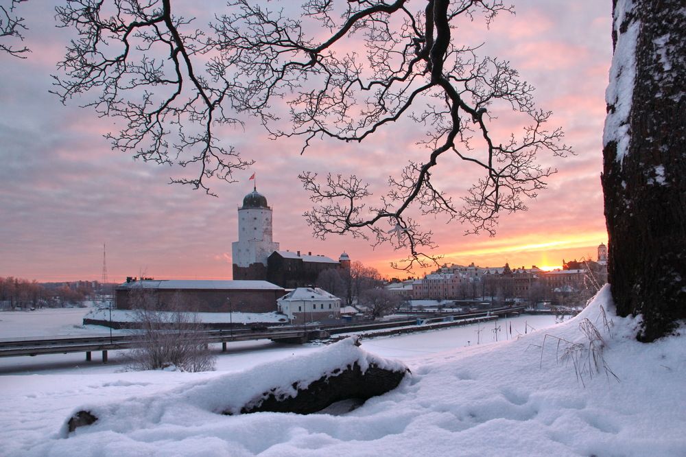 Photograph by Александр Алабушев