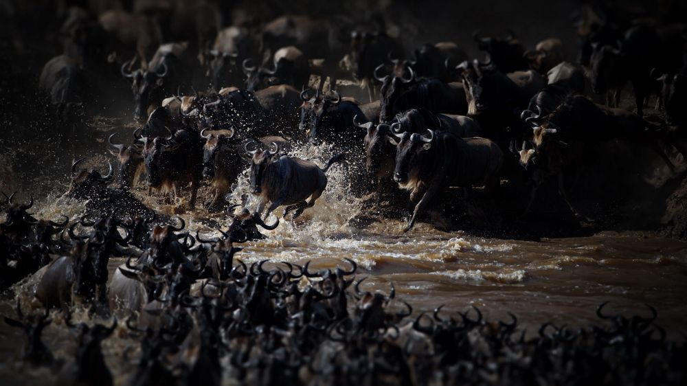 Одиночество в толпе