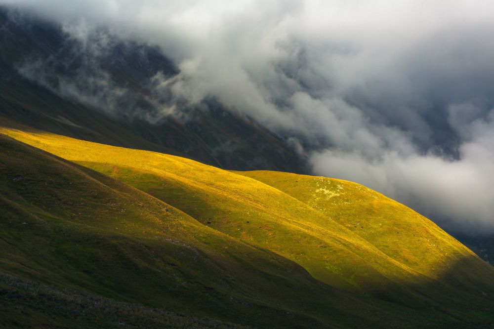Подперевальные коровки