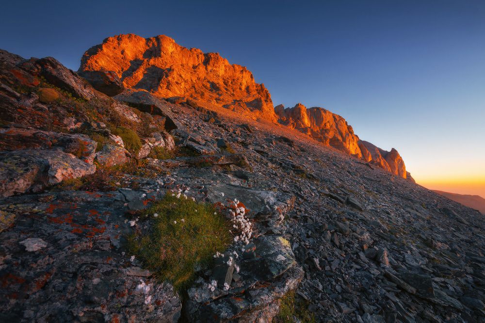 Красный дракон