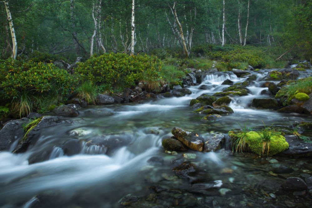 Утро на Малуй Дукке