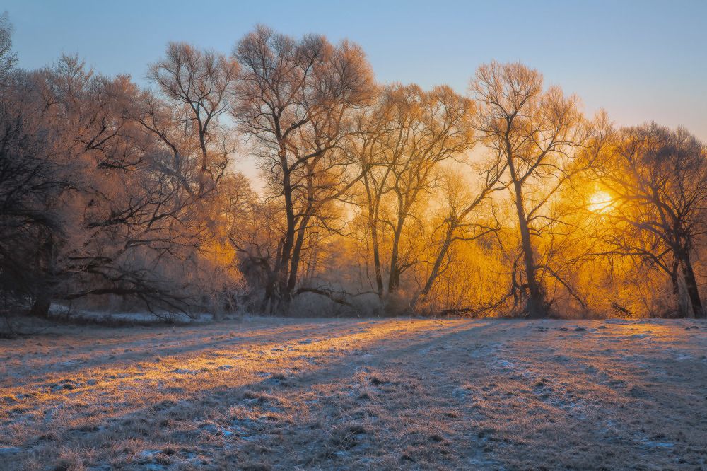 Утренние узоры.