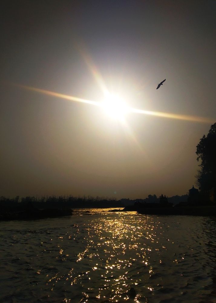 Photograph by Srija Lingwal