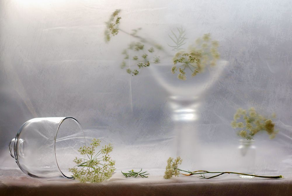 Photograph by Светлана Лехмус