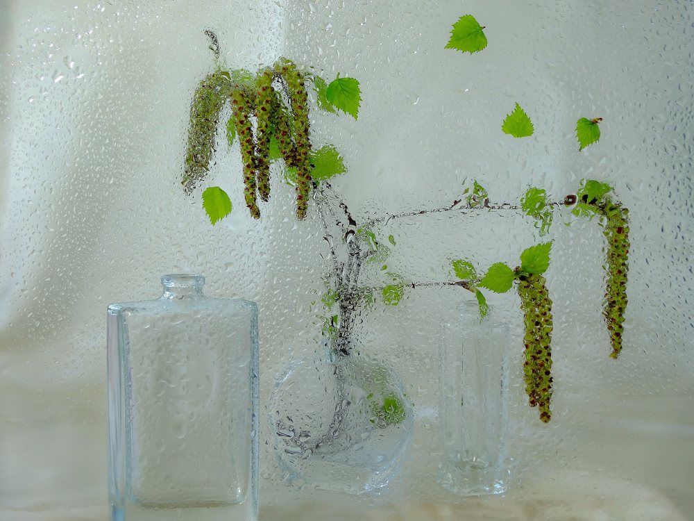 Photograph by Светлана Лехмус