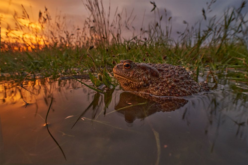 Фотография автора Роман Рысь