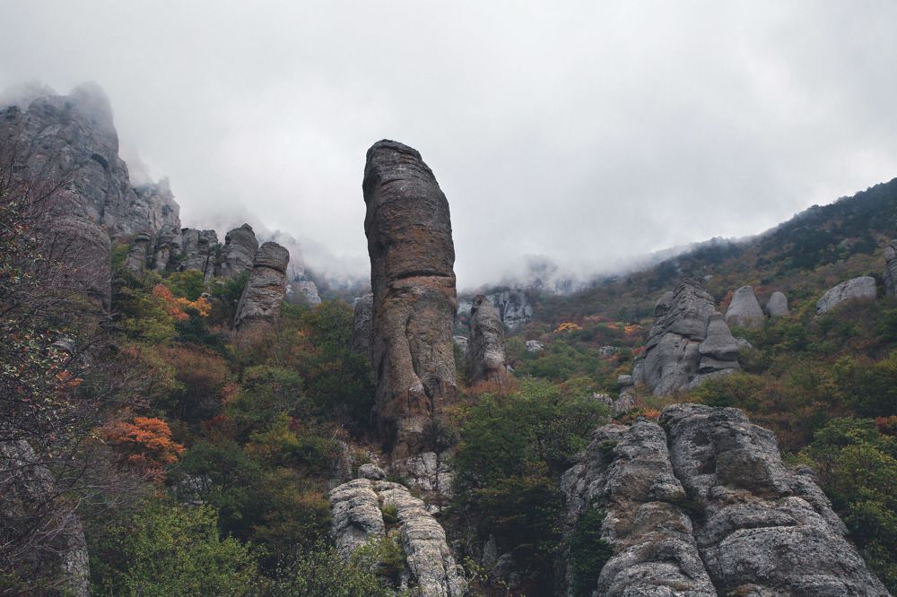 Photograph by Ольга