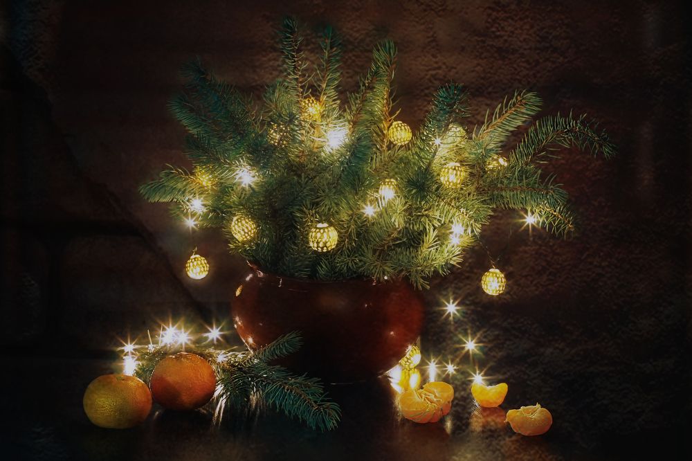 Photograph by Светлана Лехмус