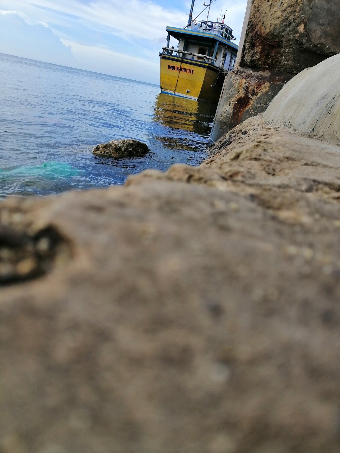 Photo #5741077