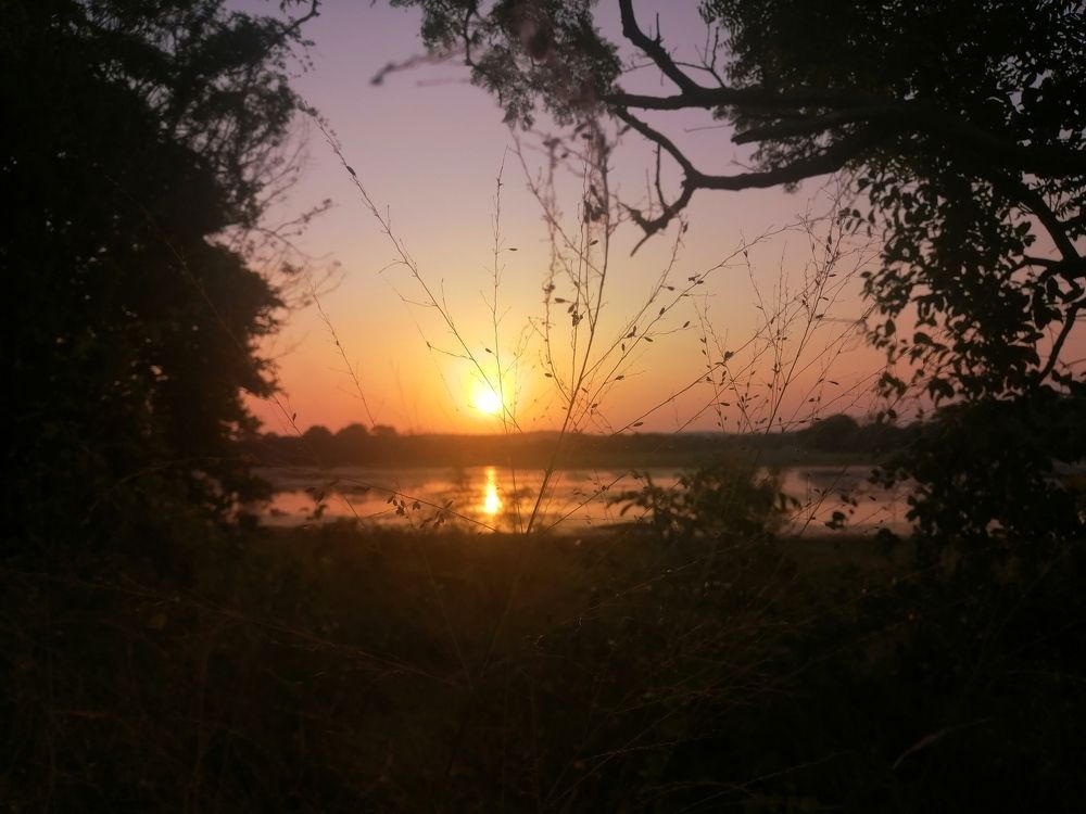 Photo #5741079