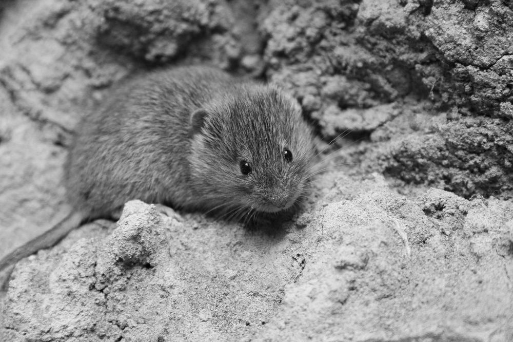 Photograph by Яшин Андрей