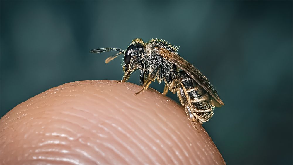 Photograph by Андрей Иванов