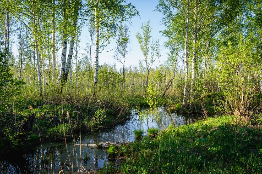 Фотография автора Виталий Гавронский