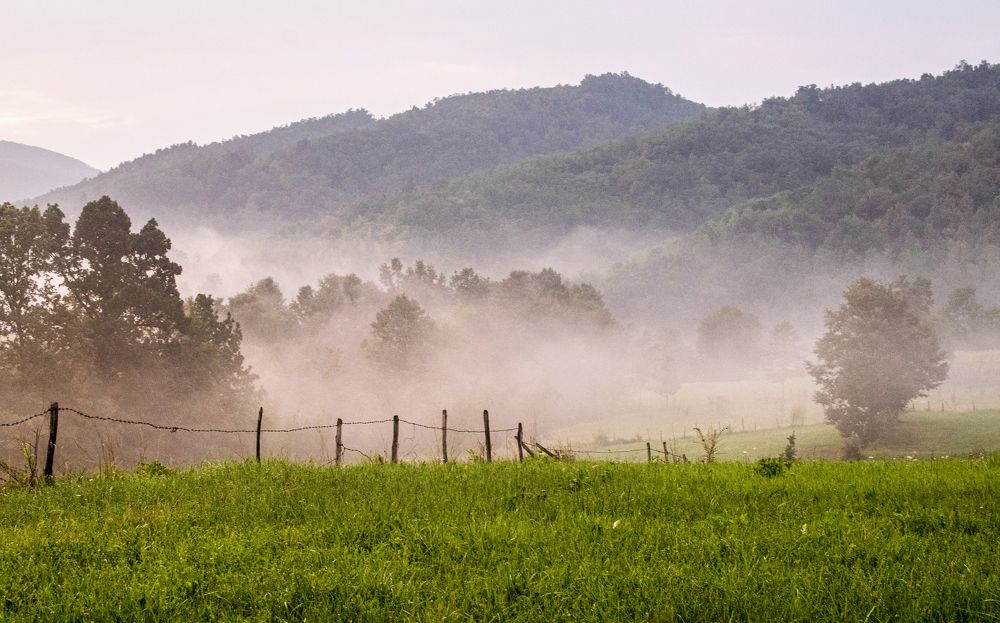 Photograph by Milica Matović