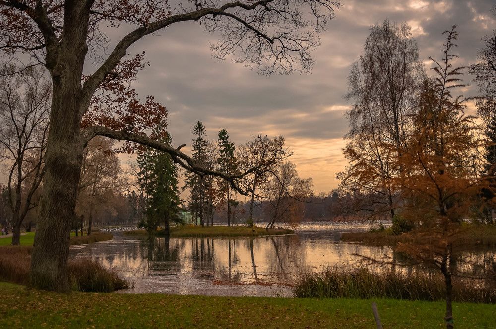 Парк в Гатчине