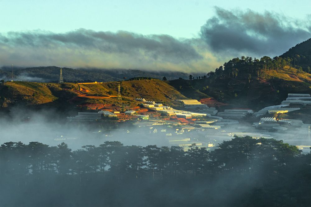 Photograph by Cao Vi Trinh