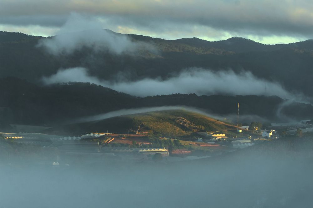 Photograph by Cao Vi Trinh