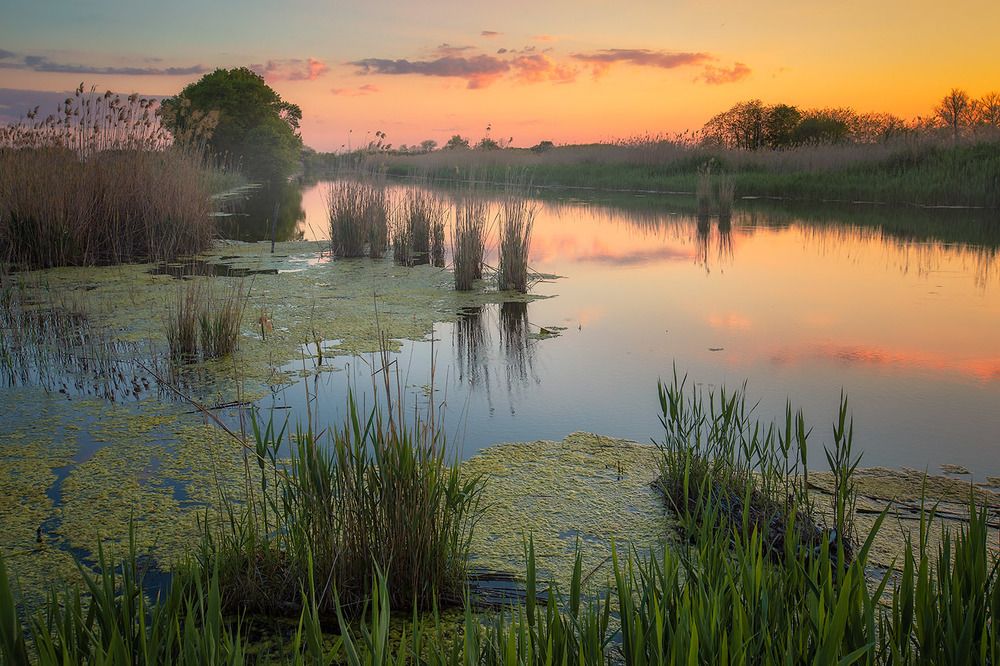 Photograph by Александр Костенко
