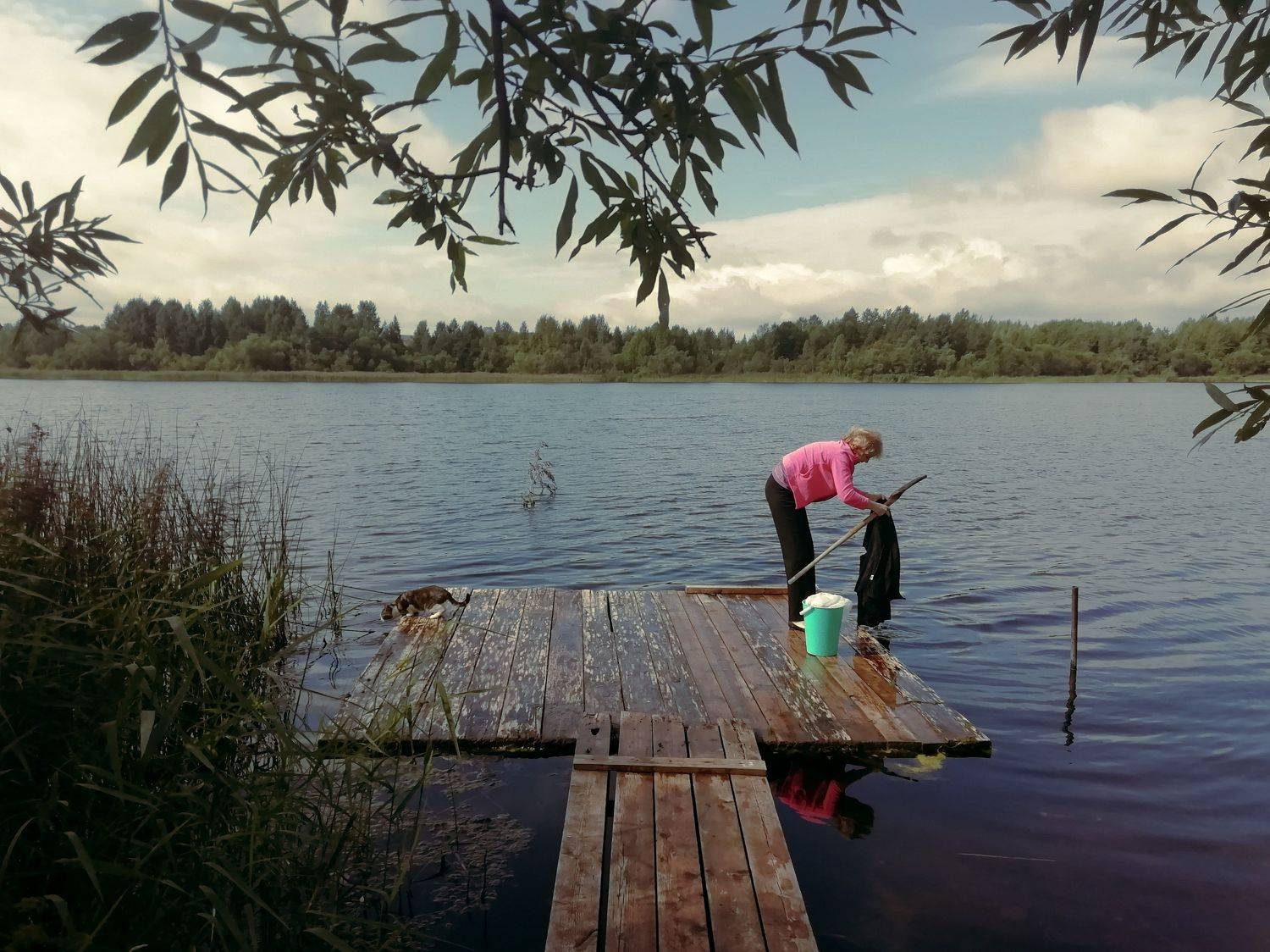 Photo #5741268