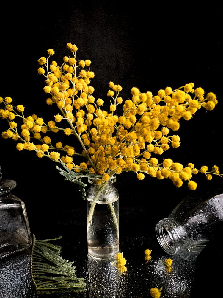 жёлтое на чёрном