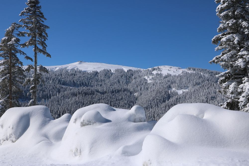 Photograph by Cengiz Yalcin