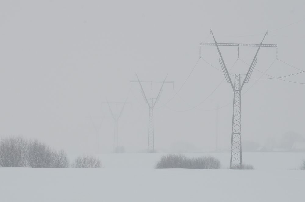 Фотография автора Елена