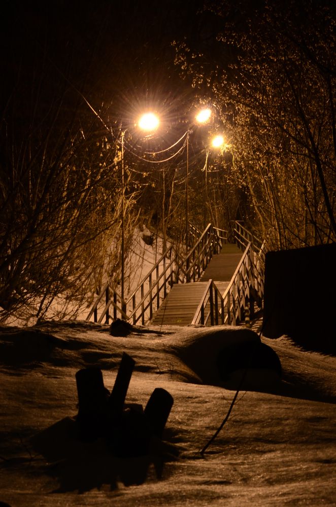 Фотография автора Елена