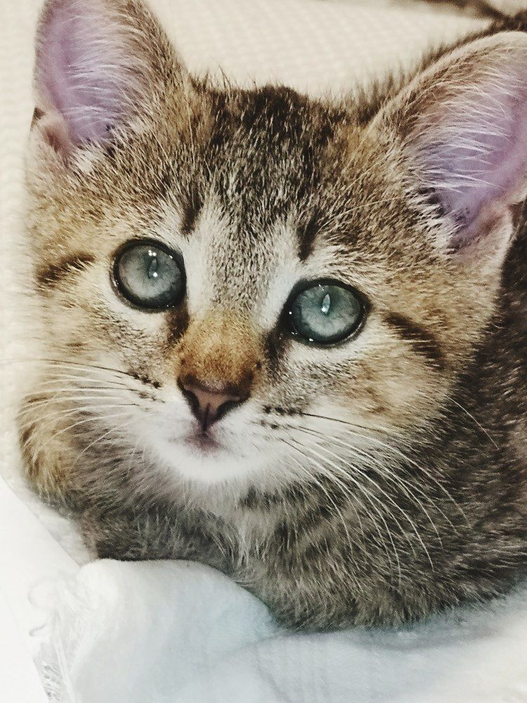 Photograph by Nikolett Mengyi