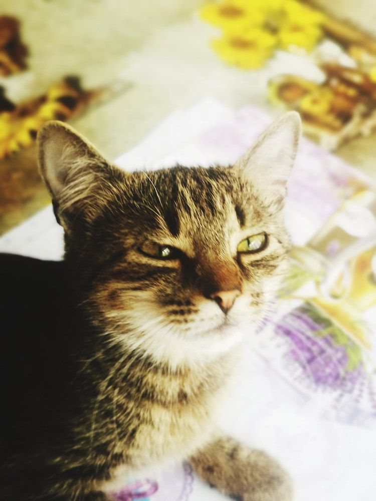 Photograph by Nikolett Mengyi