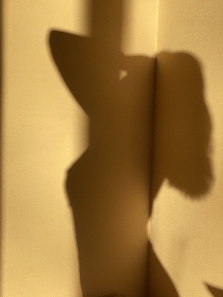 Photograph by Инна Мельник