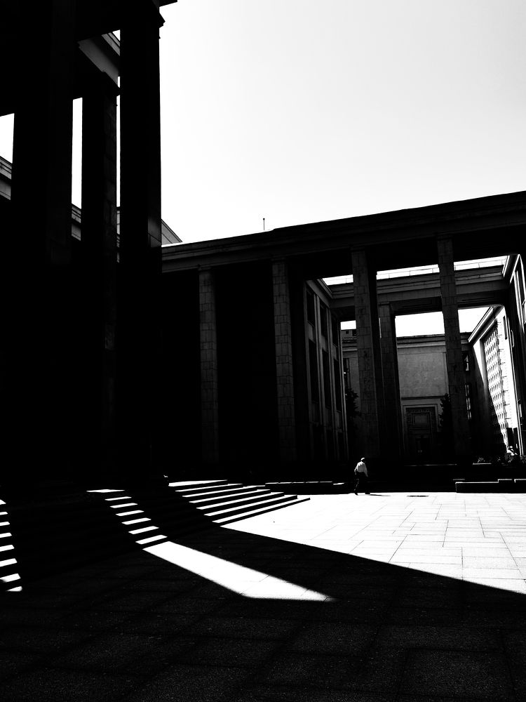 Тень знаний / Shadow of Knowledge