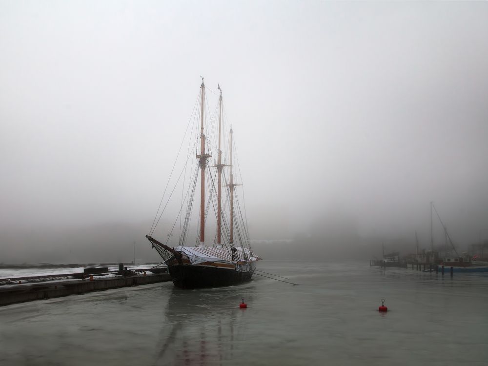 Photograph by Ирина Заколдаева