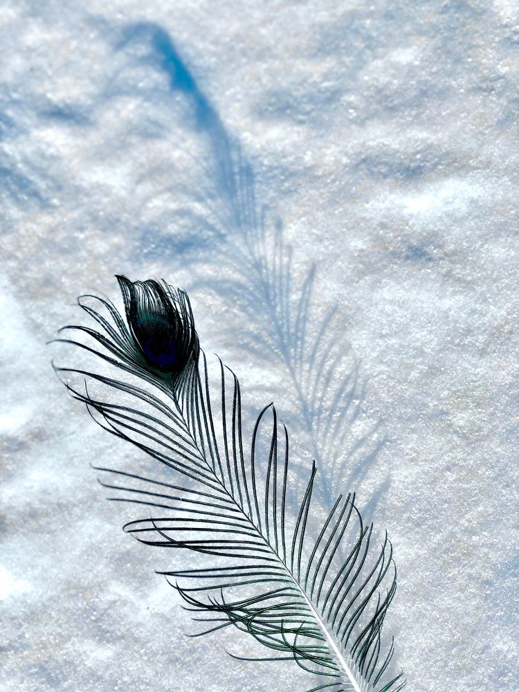 Морозное солнце.