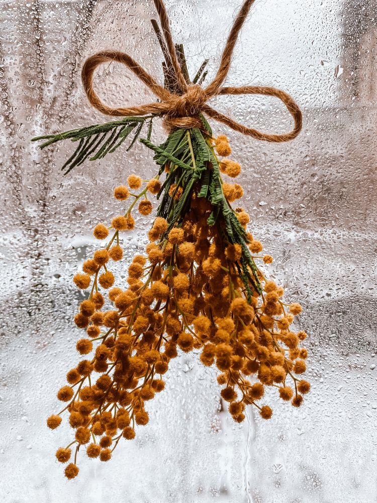 Весенний след