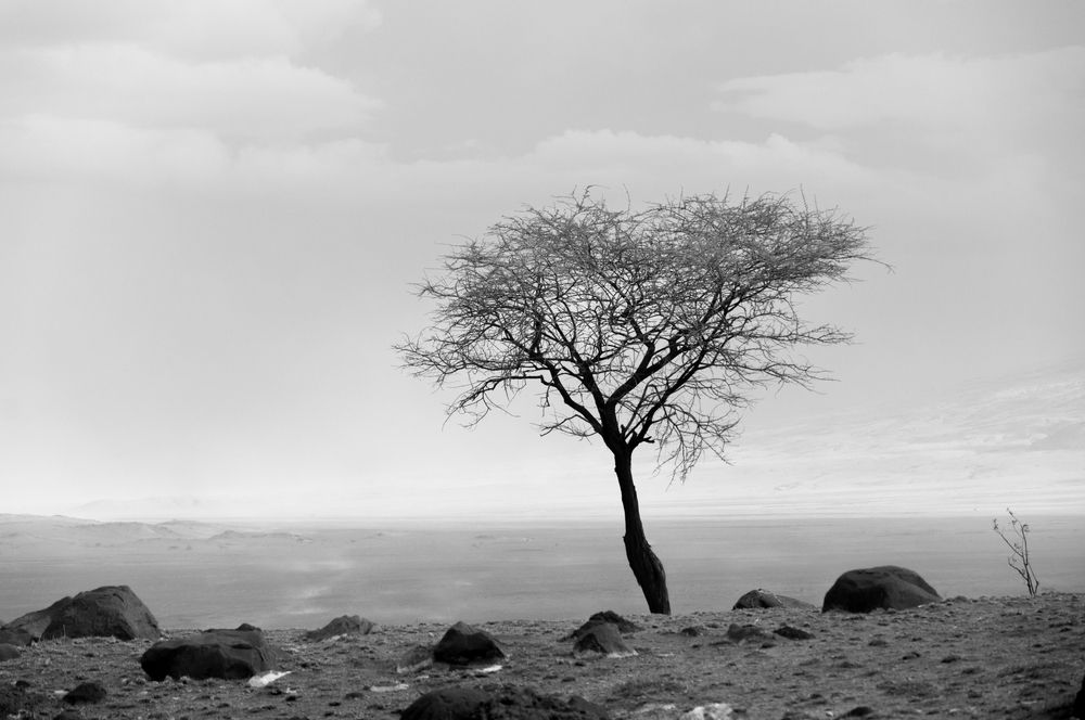 В одиночестве