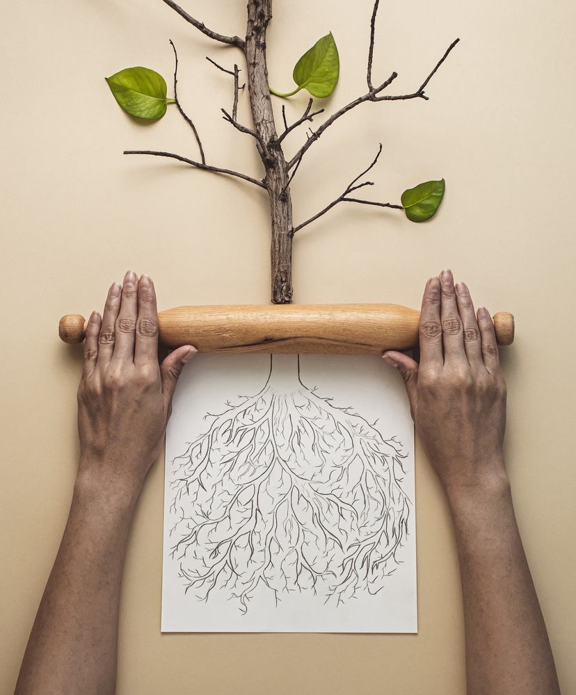 Photograph by amin roshan afshar