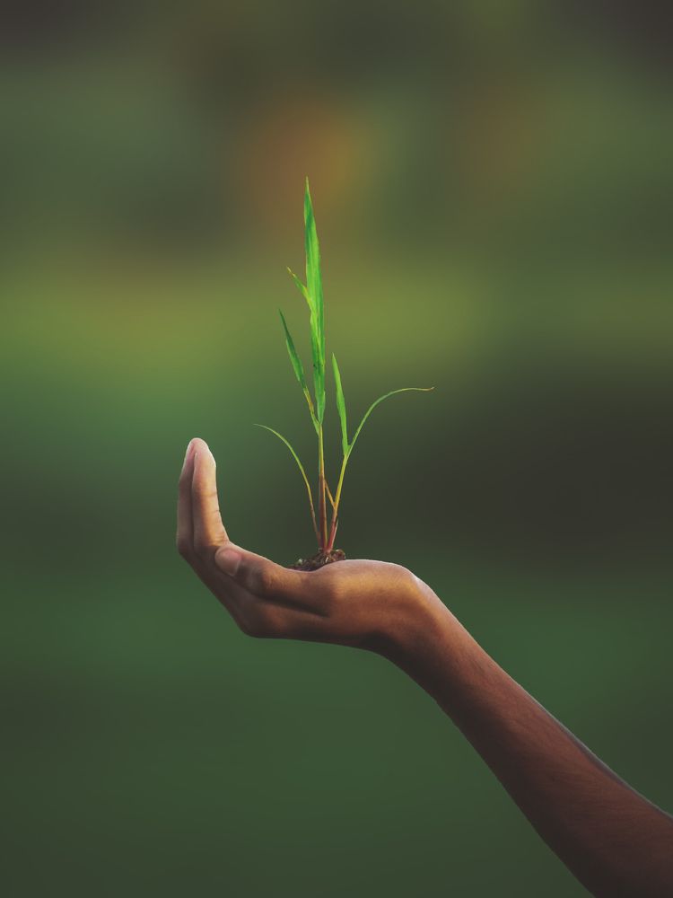 Photograph by Deshan Tharindu