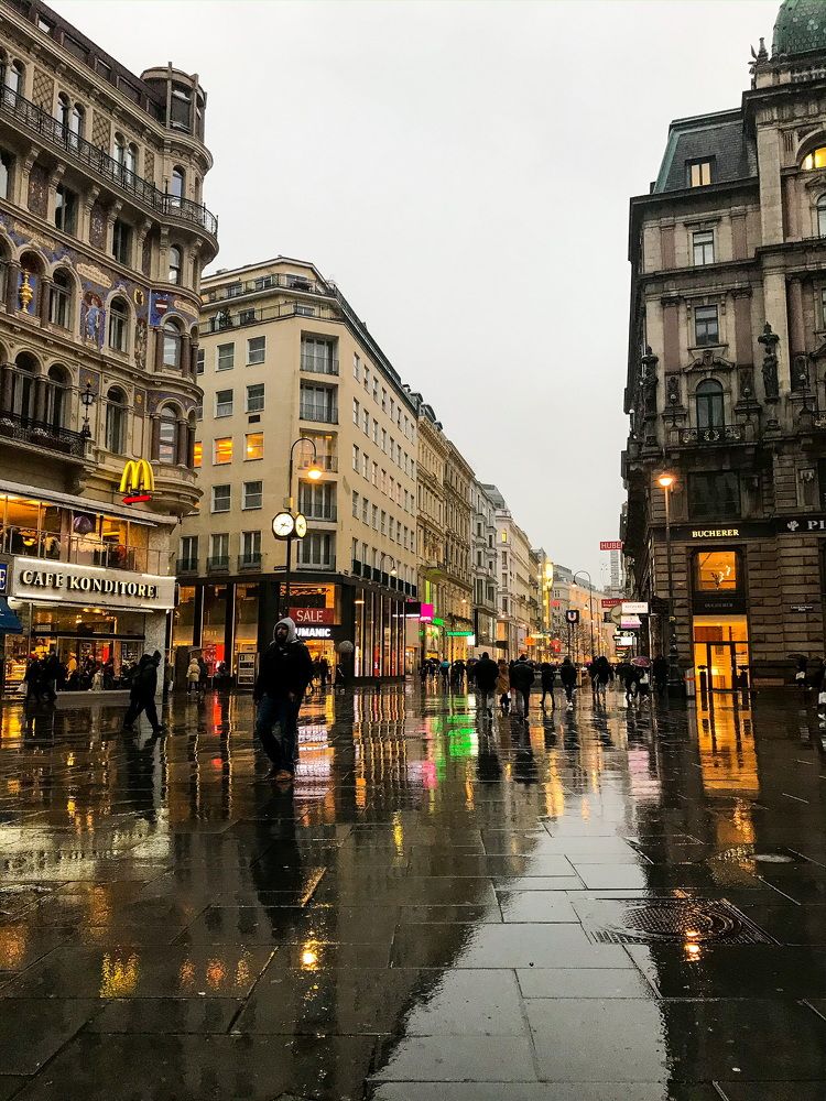 Rainy Vienna